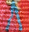 back